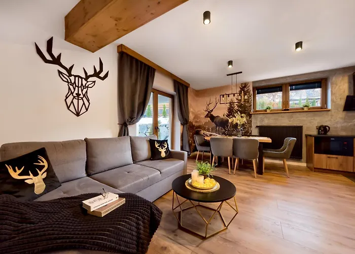 Skibowki * زاكوباني